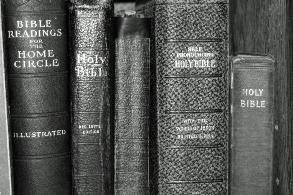 Image of bibles on a shelf. By Megan, Flickr.com, CC BY-NC-ND 2.0 DEED