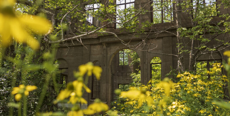 In the Ruins of the Modern